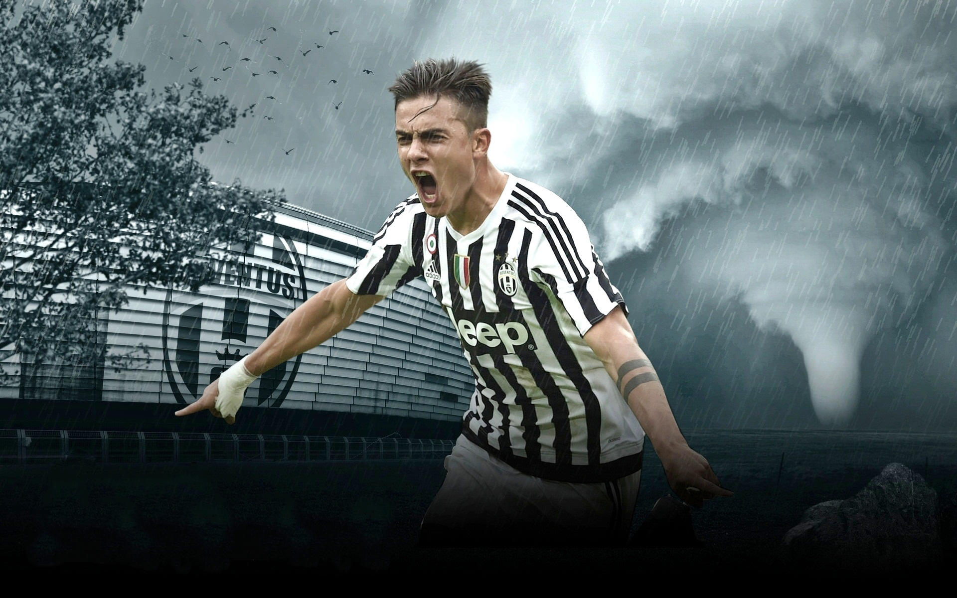 围棋职业棋手网络胜率排行更新