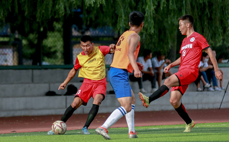[天下足球]布兰特破门 多特蒙德大胜弗赖堡